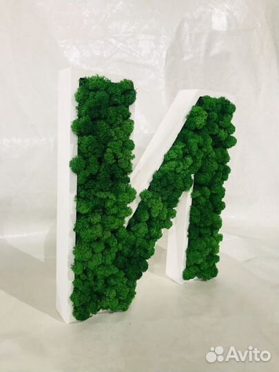 Буквы из стабилизированного мха