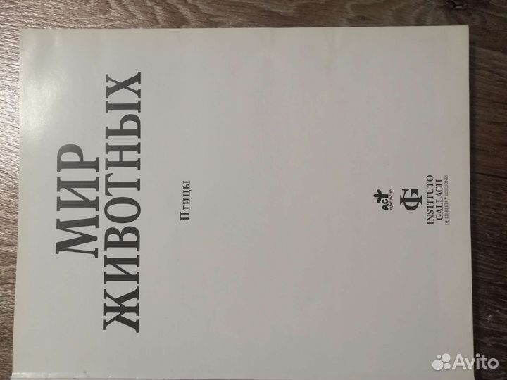 Мир животных птицы