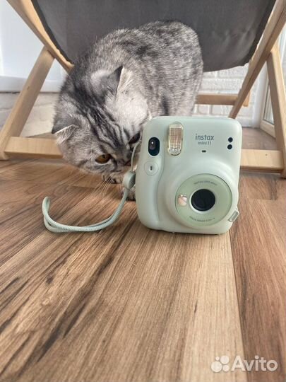 Поларойд Fujifilm Instax Mini 11 в аренду