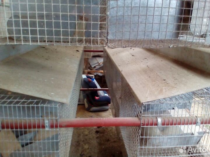 Клетки для бройлеров и кроликов