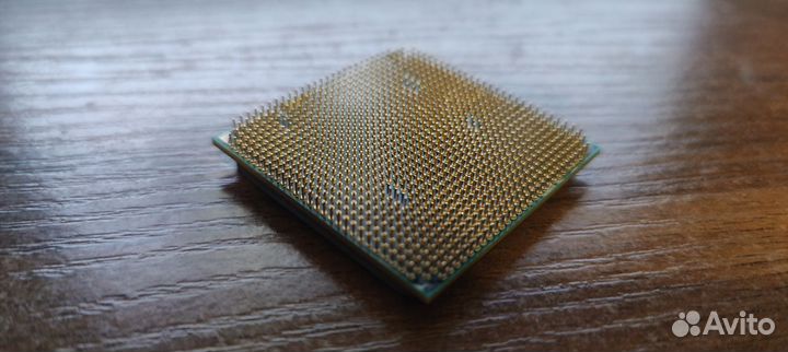 Процессор AMD Sempron X1 X145, SocketAM3, OEM sdx1