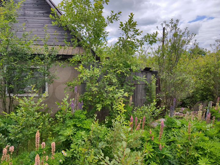 Дом 30 м² на участке 5 сот.