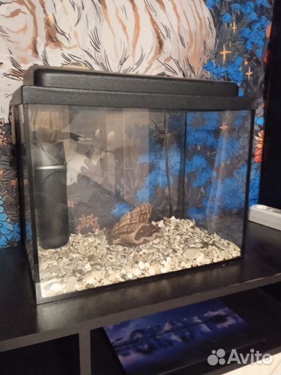Аквариум