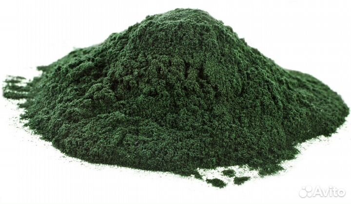 Спирулина порошок