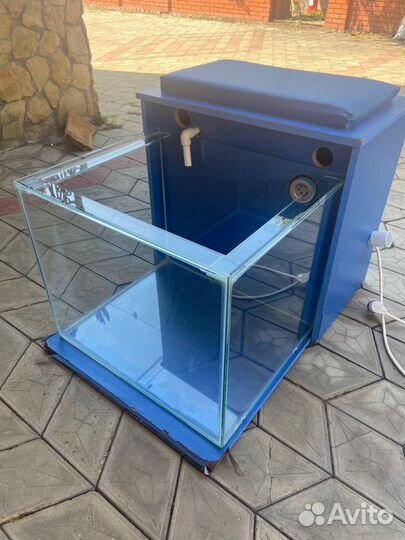 Аквариумы для рыбного пилинга