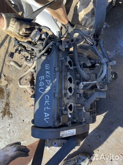 Шкода октавия тур двигатель 1.6л BGU