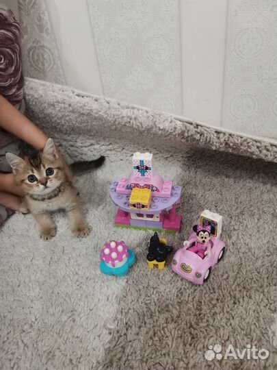 Лего дупло 3 набора