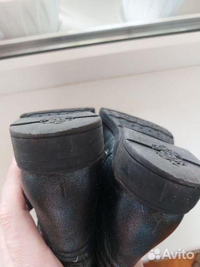 Сапожки демисезонные geox