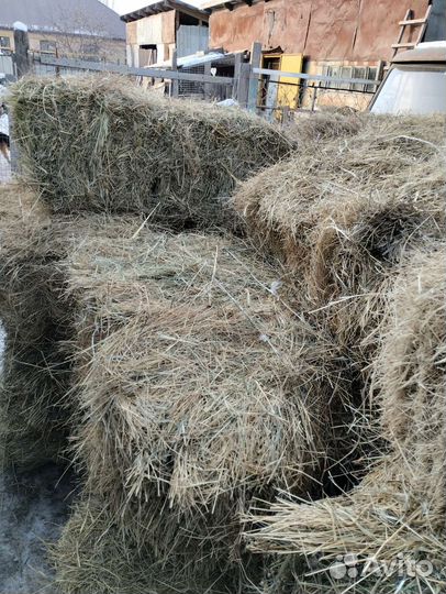 Сено в тюках