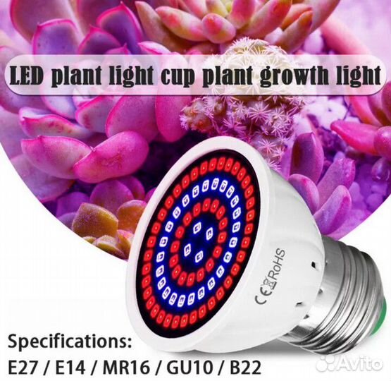 Фито лампа для цветов семена