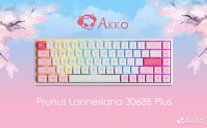 Механическая клавиатура akko 3068B Plus V2 Prunus