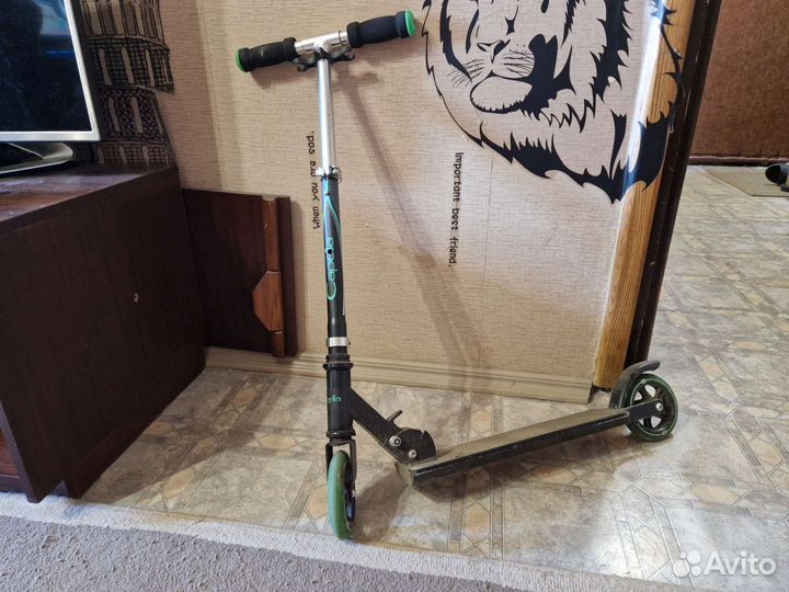 Детский самокат capella s-101