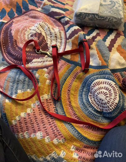 Шлейки для маленькой собаки - 2шт