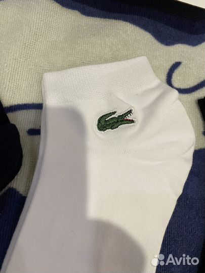 Носки lacoste
