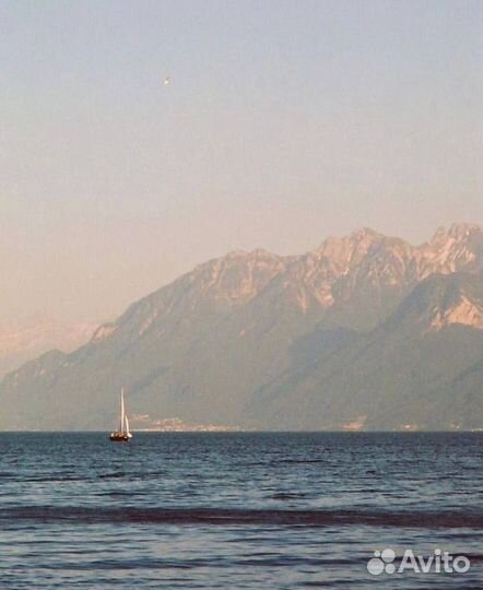 Пленочный фотоаппарат Minolta Riva Zoom AF5