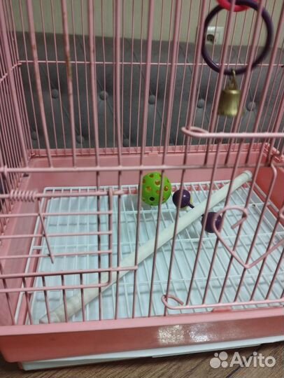 Клетка для попугая бу