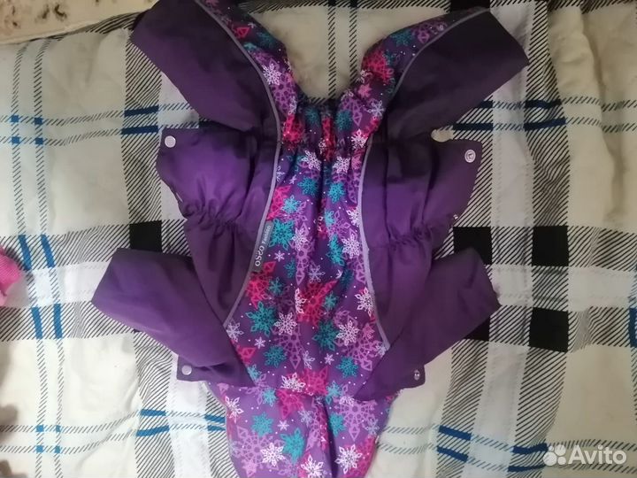 Одежда для собак мелких пород (носил мини йорк)