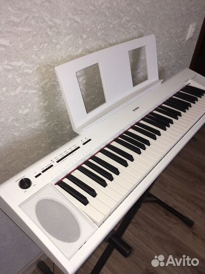 Сниникзатор Yamaha NP-12