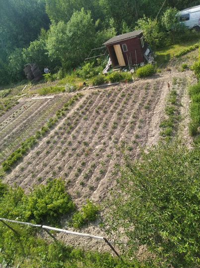 Участок 8 сот. (СНТ, ДНП)