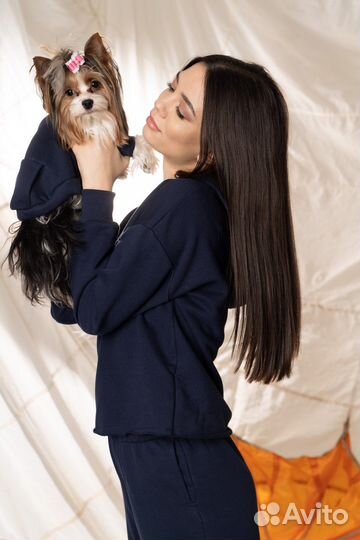 Одежда для собак