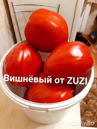 Семена помидор из своей коллекции