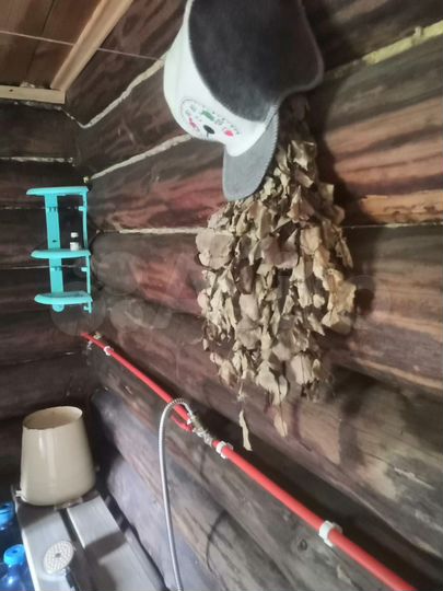 Дача 22,5 м² на участке 6 сот.