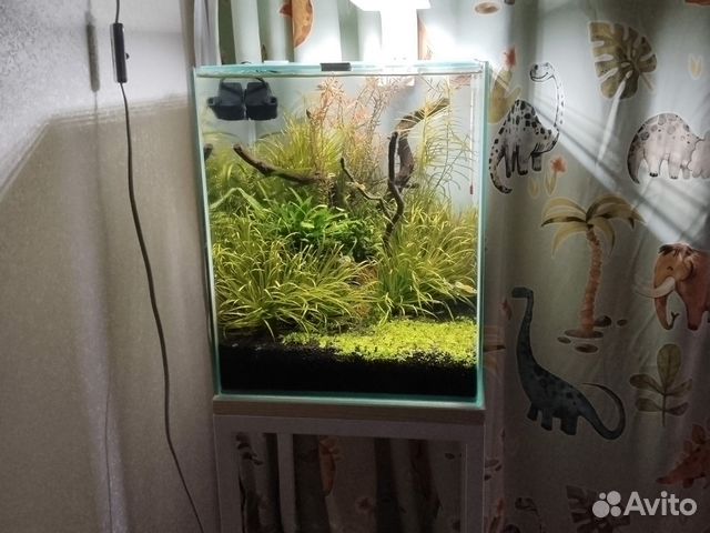 Аквариум Aquael 30 литров купить в Люберцах | Животные и зоотовары | Авито