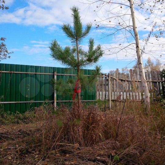 Участок 17 сот. (ИЖС)