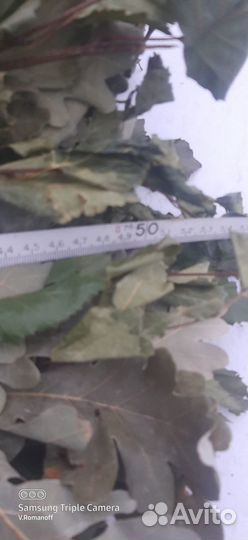 Веники для бани В комплекте