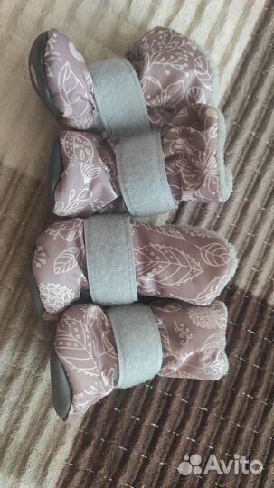 Обувь для животных