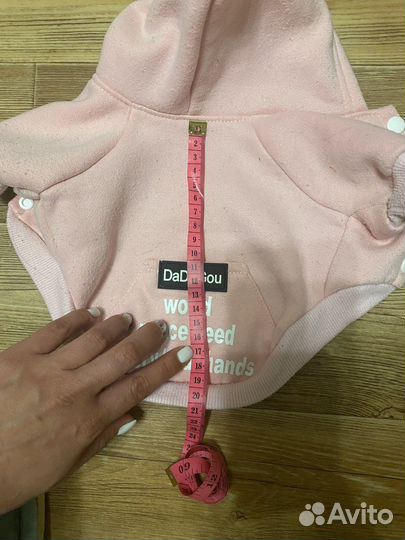 Одежда для собак мелких пород