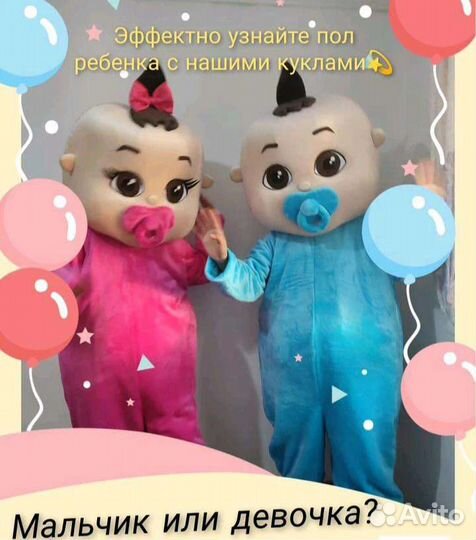 Ростовая кукла мишка, живая открытка,стриптиз