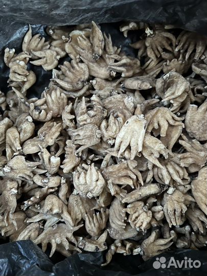 Ятрышник (салеп)