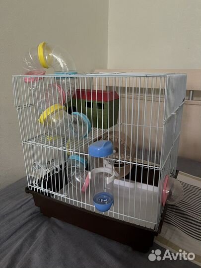 Клетка для хомяка большая (несколько)