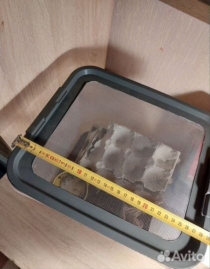 Кормовые тараканы Мраморные