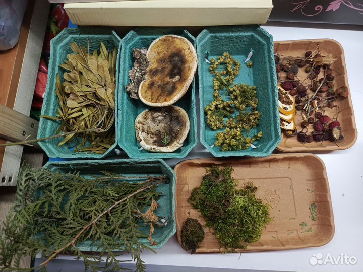 Природные материалы для творчества