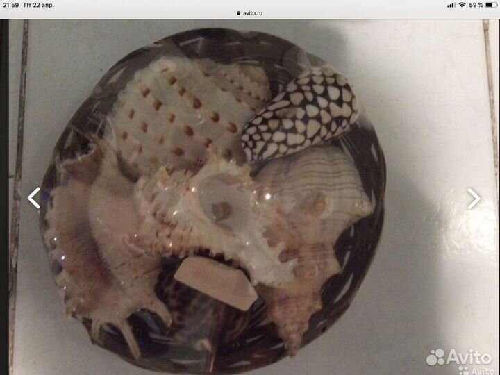 Грунт,Галька,Ракушки,Скребок,Лампа Т8,Коряга