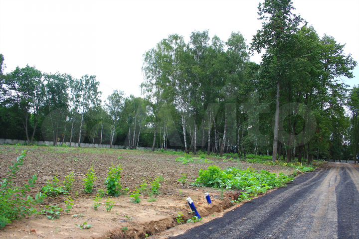 Участок 6,9 сот. (ИЖС)