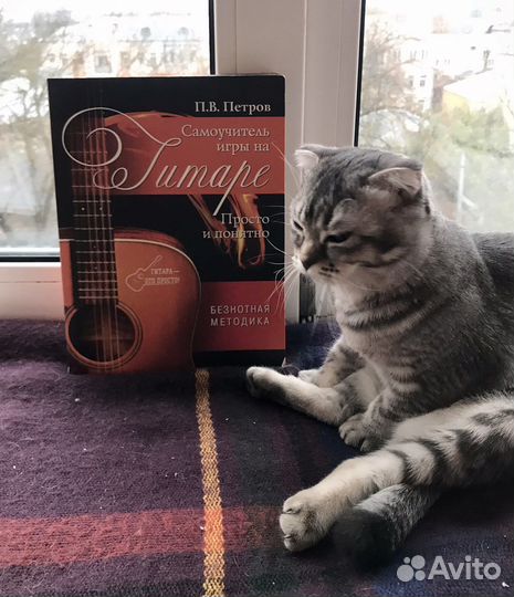 2 книги: игра на гитаре и «Деньги и изобилие»