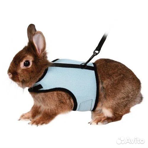 Шлейка-жилет для кролика