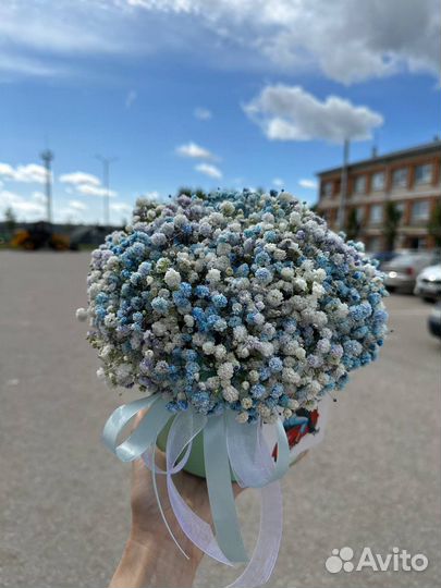 Гипсофила цветы букеты доставка