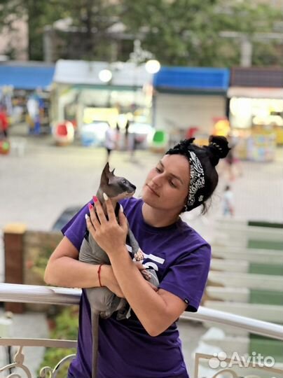 Личный помощник по любым вопросам