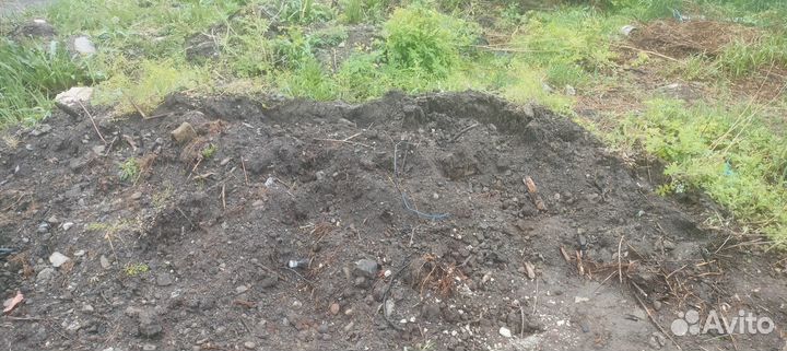 Земля перегной