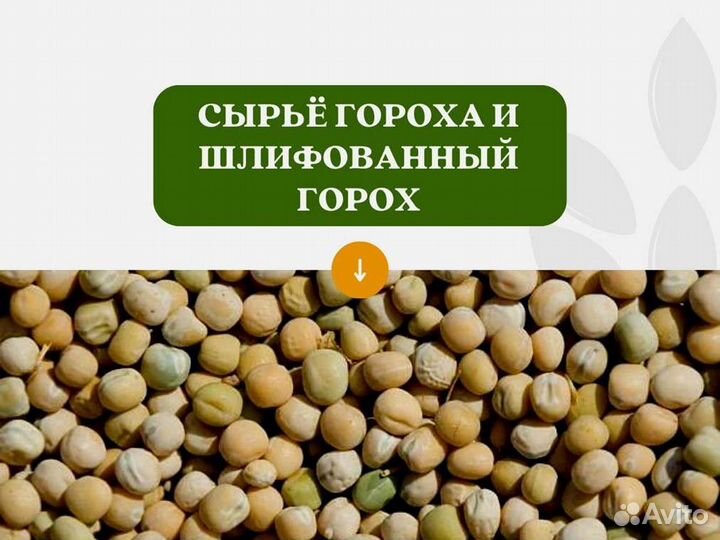 Горох с поля (сырье) (кг)