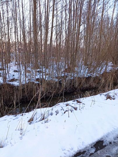 Участок 12 сот. (СНТ, ДНП)