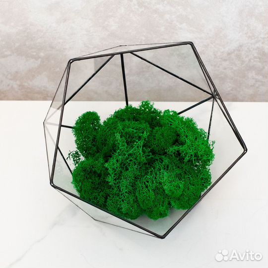 Ваза для флорариума