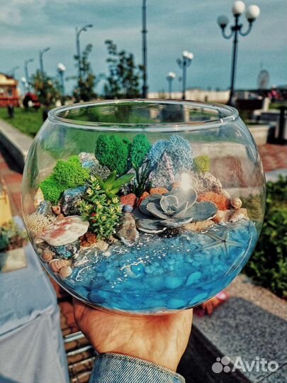 Флорариум, суккуленты, кактусы