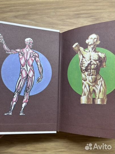 Книга детская Я познаю мир Тело человека