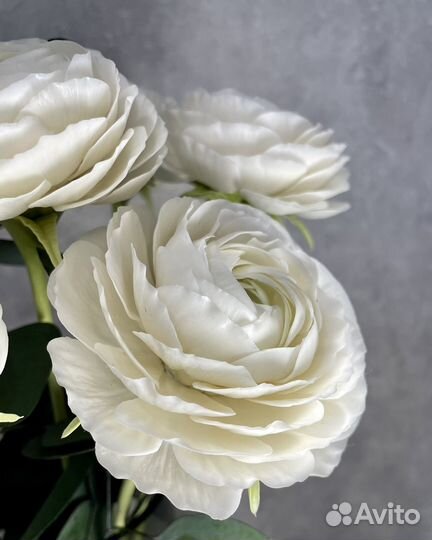 Ранункулюсы букет