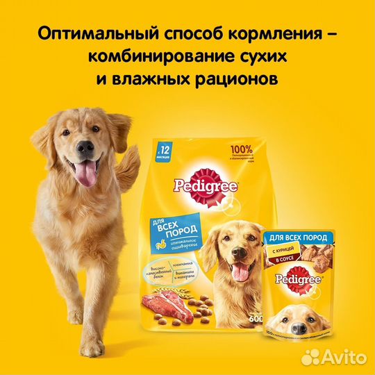 Корм Pedigree сухой корм для взрослых собак мелких